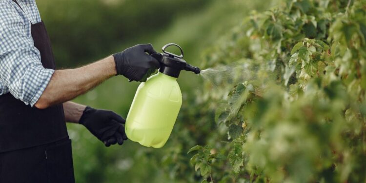 Iagro libera 15 novos agrotóxicos para venda em MS; dois são classificados como altamente tóxicos